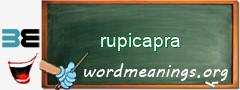 WordMeaning blackboard for rupicapra